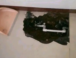 沂源卫生间测漏水多少钱